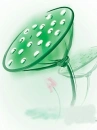 for flowers ...