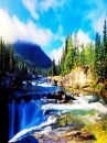 the beauty of nature