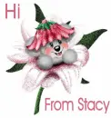 Stacy