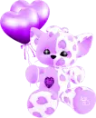 kitty