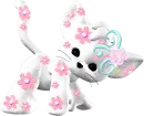 kitty