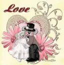 Wedding Love