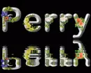 Perry - Silvered Name