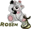 Robin bear on phone