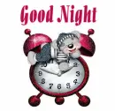 Good Night