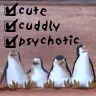 penguins