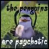 penguin