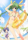 summer