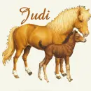 judi