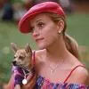 legally blonde