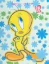 tweety bird