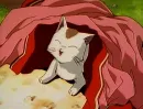 Tama