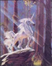 unicorn on rock