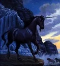 black unicorn