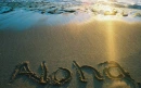 aloha beach