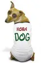Dog funny