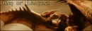 Dragon King 
