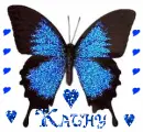 kathy