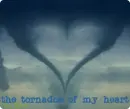 tornadoe of my heart