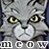 Warrior Cat