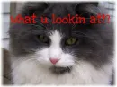 what u lookin' @!