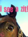 i c a zit!