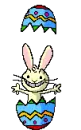 crazy bunny