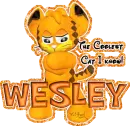 Wesley
