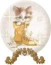 cute cat in boot