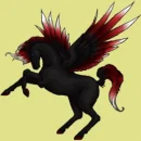 horses