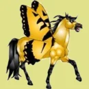 Golden Pegasas