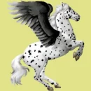 leapord
