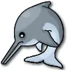 dolphin