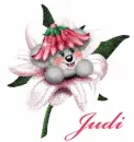 Judi