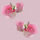 flawer