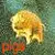 Pink Floyd Pig.Pigs On The Wing.Animals