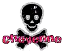 Cheyenne - Skull