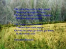 The images are mine, the poem is not. but these were photo's I took in my town and strung togeather.