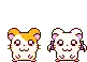 hamtaro