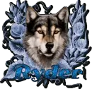 Ryder