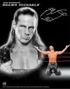 Shawn Michaels