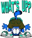 What's Up ?