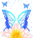 blue butterfly