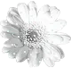 cute flower