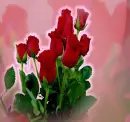 Roses Background