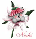 Noshi