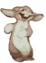 dancing cute lil bunny