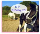 r u following me?