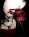 biting rose