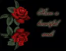 have a beautiful week